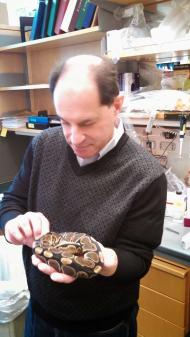 Дейвид Джулиъс